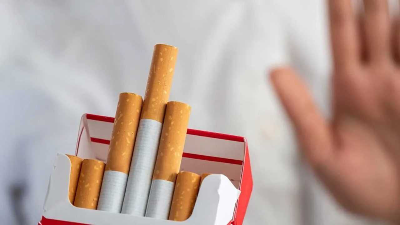 Sigara Sadece Sağlığı Değil, Bütçeyi de Vuruyor 1 Sigara Sadece Sagligi Degil Butceyi de Vuruyor 2