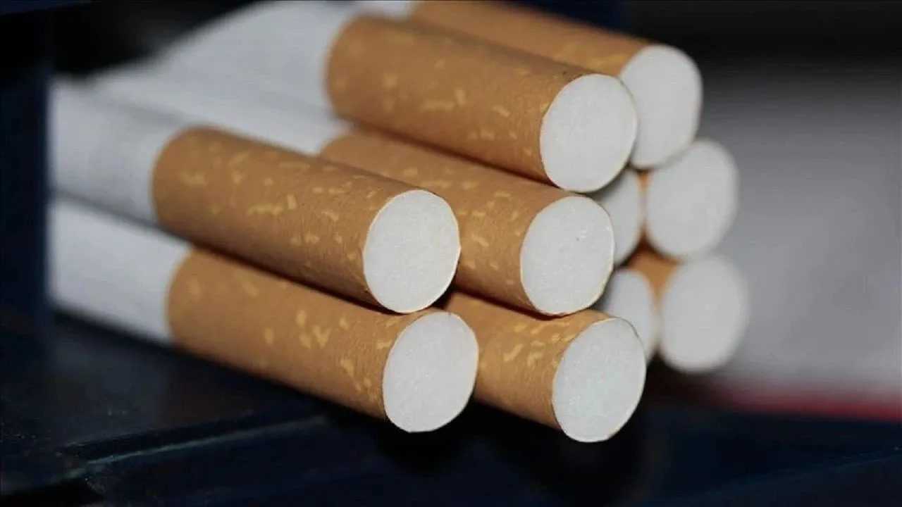 Sigara Sadece Sağlığı Değil, Bütçeyi de Vuruyor 3 Sigara Sadece Sagligi Degil Butceyi de Vuruyor 4