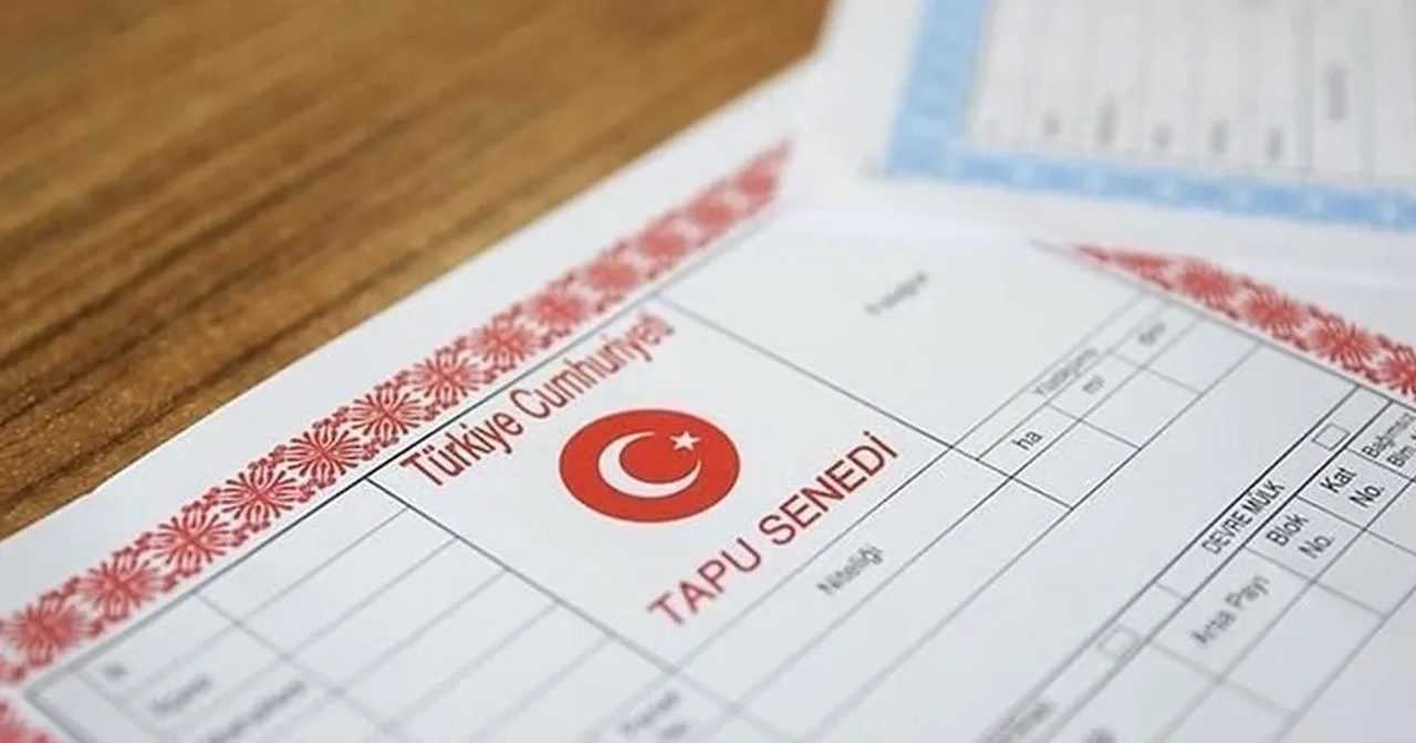 GIB Sahaya Indi Tapuda Yanlis Beyan Eden Yandi 2