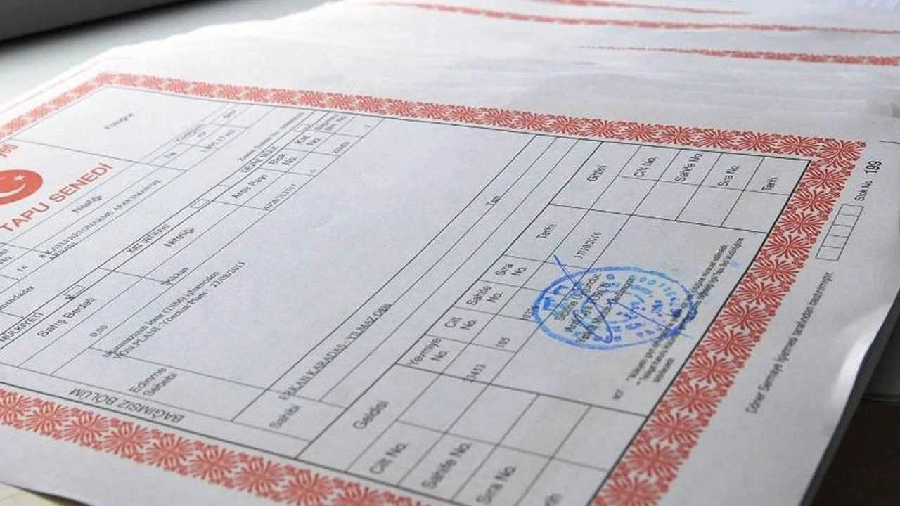 GIB Sahaya Indi Tapuda Yanlis Beyan Eden Yandi 3
