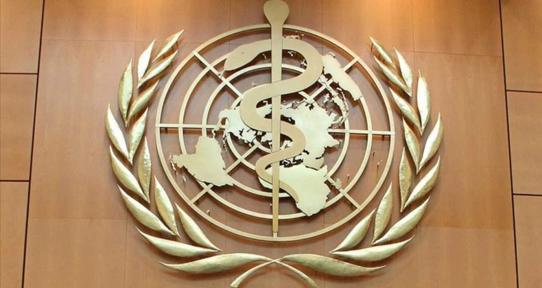 Atlantik’te Ölüm Alarmı: Gemideki Virüs Paniği Yayılıyor