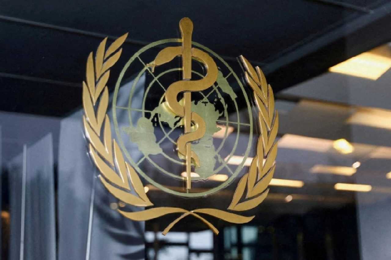 Atlantikte Olum Alarmi Gemideki Virus Panigi Yayiliyor 2