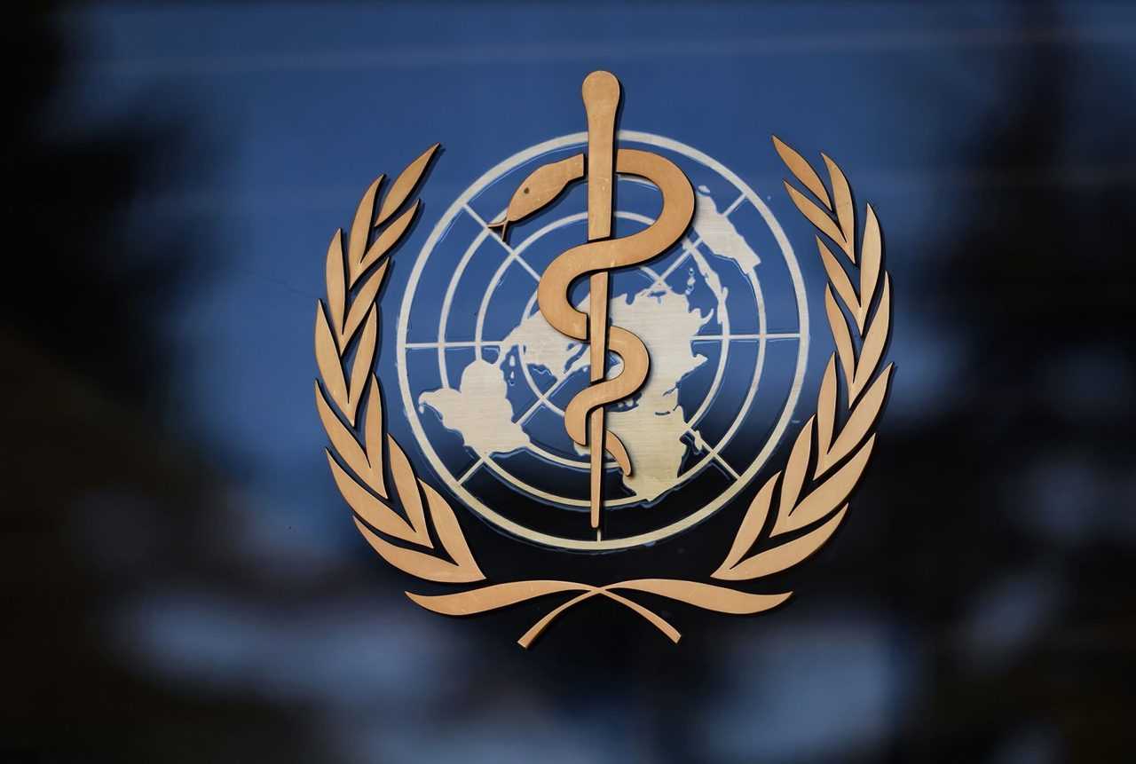 Atlantikte Olum Alarmi Gemideki Virus Panigi Yayiliyor 3