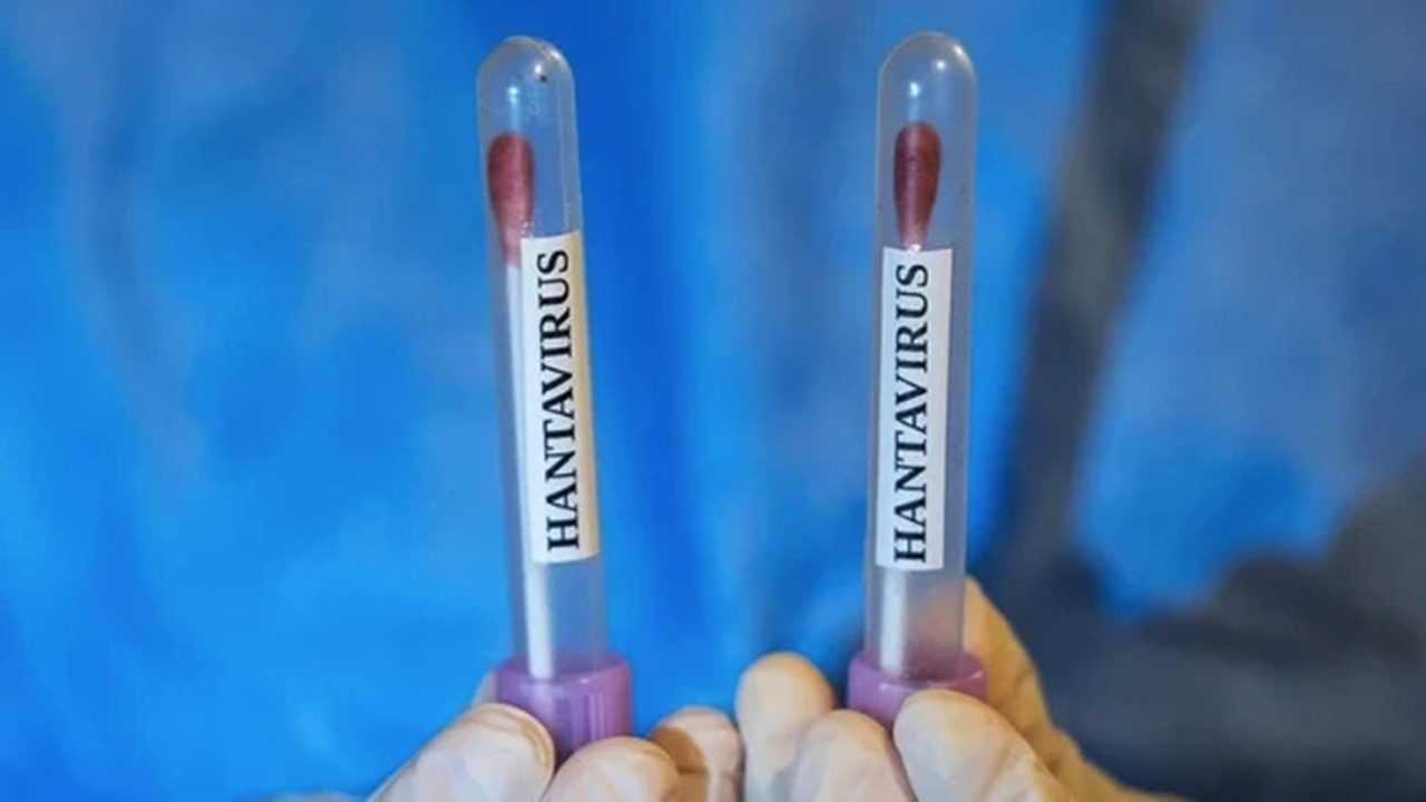 DSÖ Alarm Verdi: Ölümcül Virüs Hızla Yayılıyor 1 DSO Alarm Verdi Olumcul Virus Hizla Yayiliyor 2