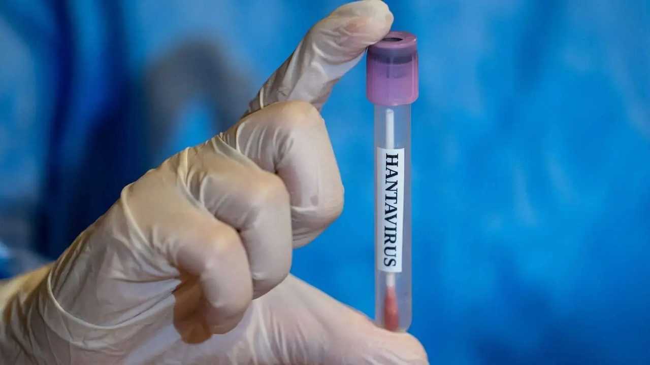 Korkutan Gelisme Yolcu Gemisinde Olumcul Virus Alarmi 1