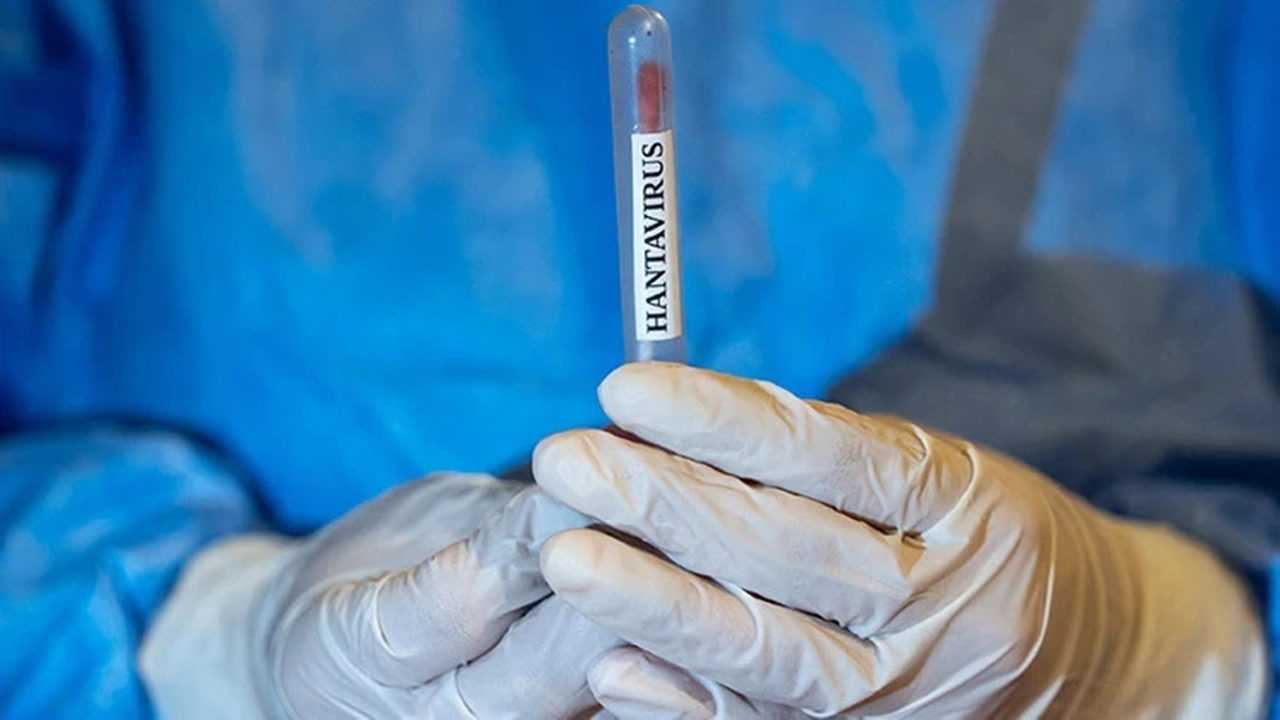Korkutan Gelisme Yolcu Gemisinde Olumcul Virus Alarmi 2