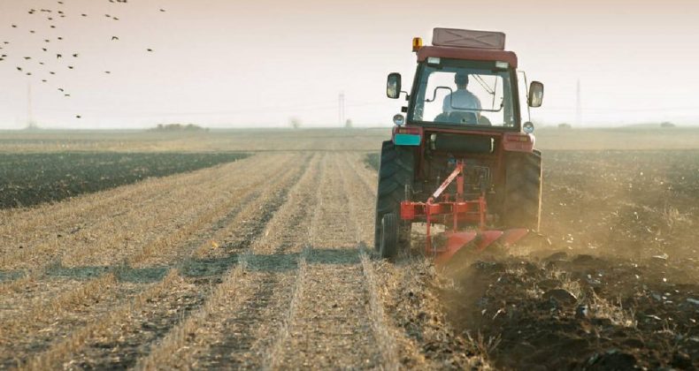 Tarımda Kırmızı Alarm: Plansız Büyüme Toprakları Eritiyor