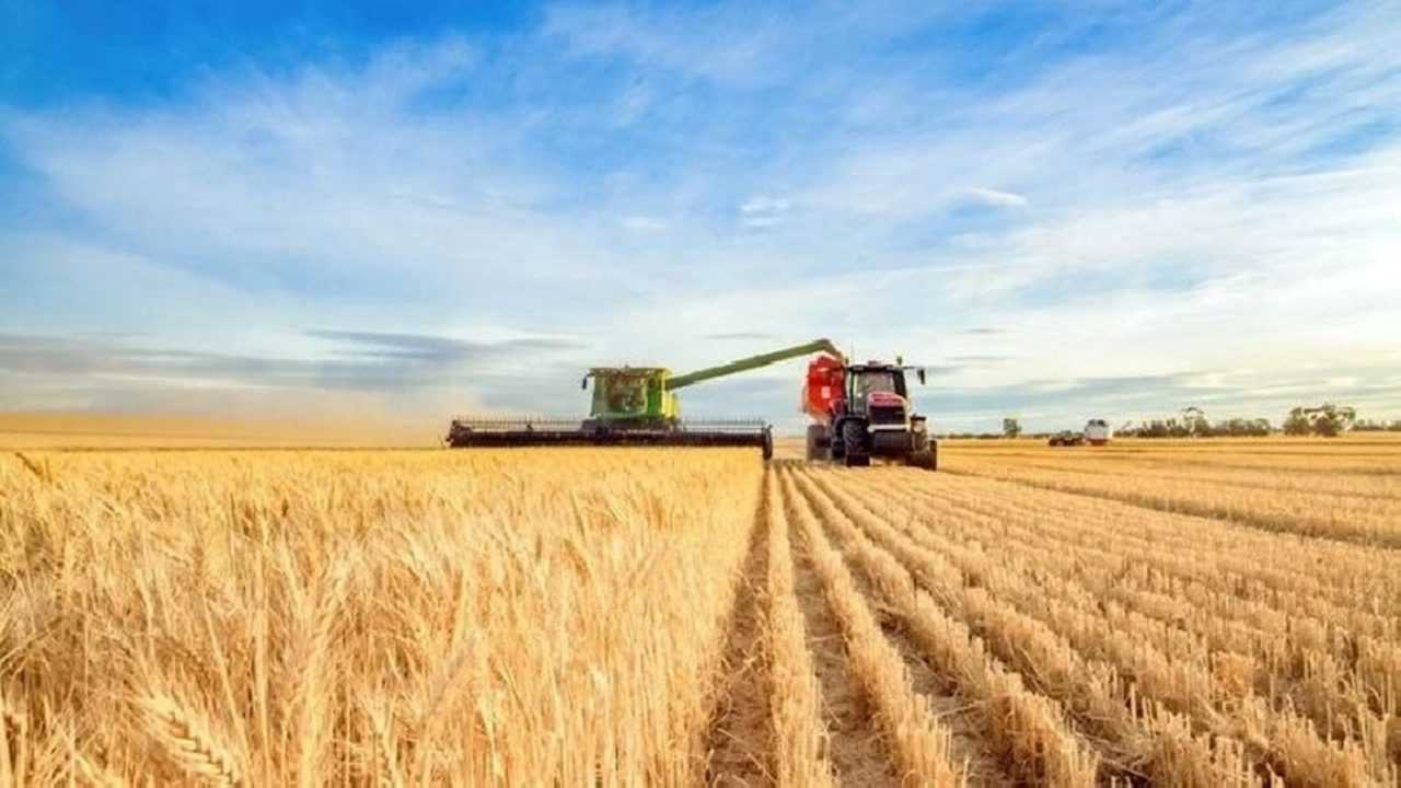 Tarımda Kırmızı Alarm: Plansız Büyüme Toprakları Eritiyor 4 Tarimda Kirmizi Alarm Plansiz Buyume Topraklari Eritiyor 5