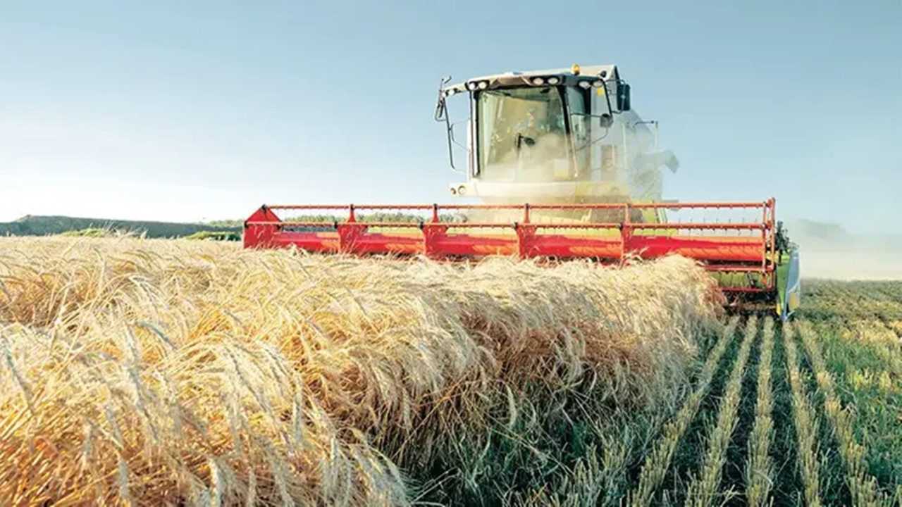 Tarımda Kırmızı Alarm: Plansız Büyüme Toprakları Eritiyor 7 Tarimda Kirmizi Alarm Plansiz Buyume Topraklari Eritiyor 8
