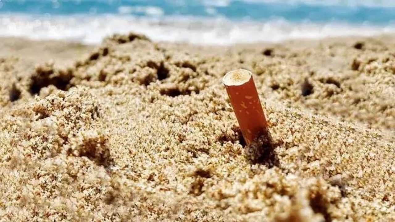Türkiye’de Bir İlk: Plajlarda Sigara Yasağı Başlıyor 3 Turkiyede Bir Ilk Plajlarda Sigara Yasagi Basliyor 4