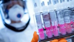 Yetkililer Acil Toplandı: H5N1 Avustralya’ya Sıçradı