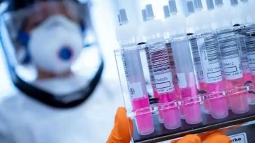 Yetkililer Acil Toplandı: H5N1 Avustralya’ya Sıçradı