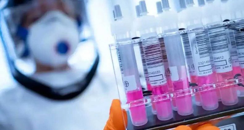 Yetkililer Acil Toplandı: H5N1 Avustralya’ya Sıçradı