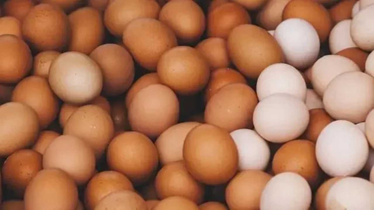 Rafadan Yumurtanın Kusursuz Kıvamı İçin Altın Kural 5 Rafadan Yumurtanin Kusursuz Kivami Icin Altin Kural 6