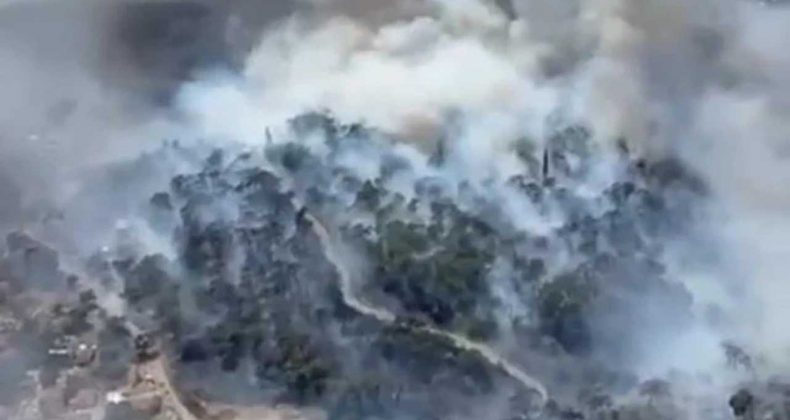 Edremit’te Yangın Paniği! Alevler Ormanlık Alana Ulaştı