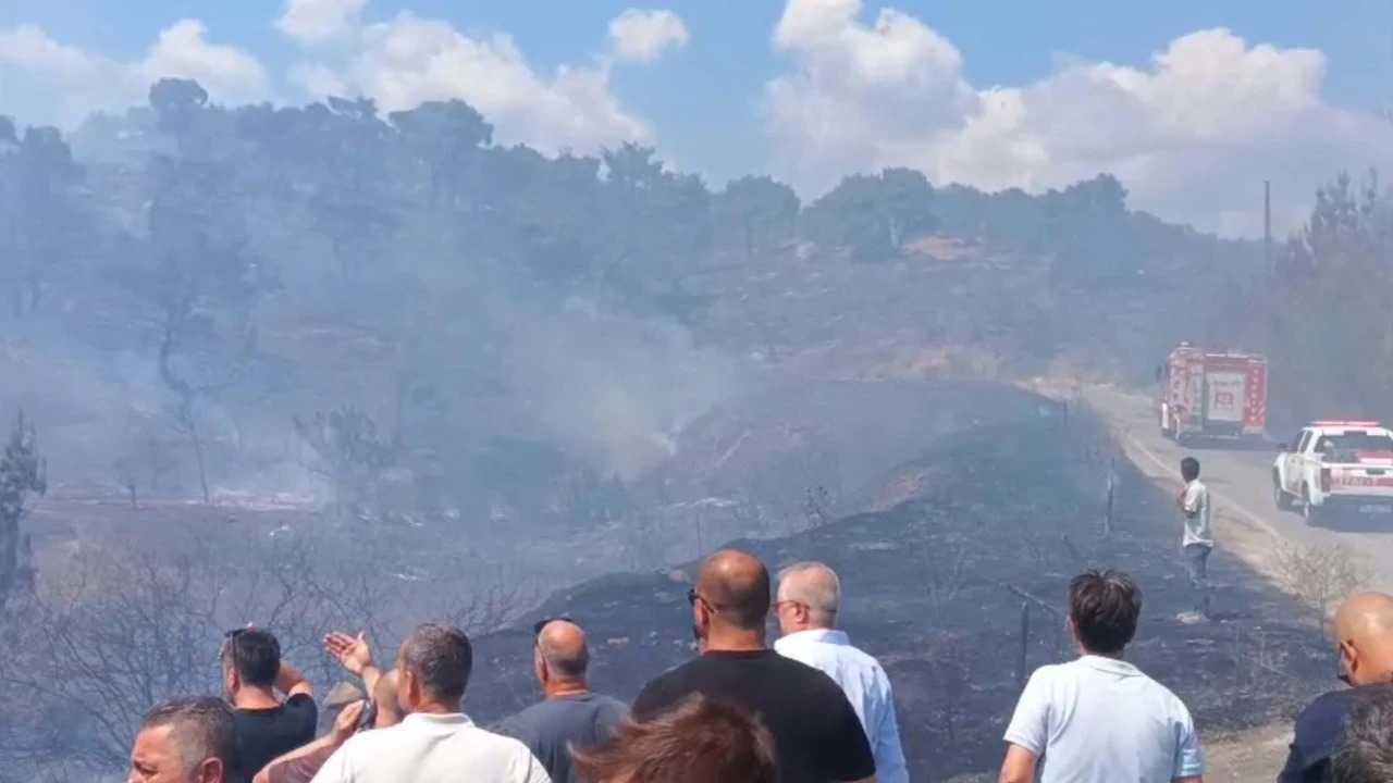 Edremitte Yangin Panigi Alevler Ormanlik Alana Ulasti 3