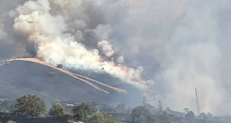 Malatya’da Orman Yangını! Alevlere Karşı Zamanla Yarış