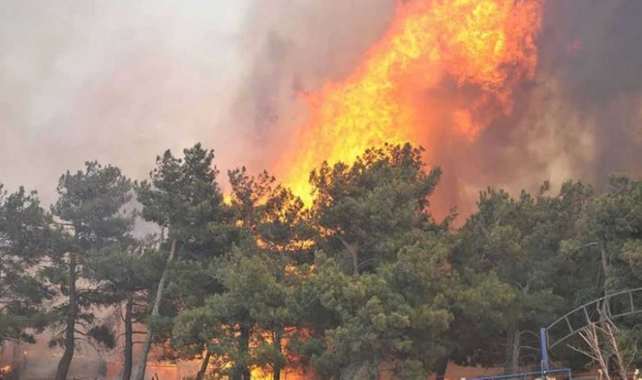 Malatya'da Orman Yangını! Alevlere Karşı Zamanla Yarış 1 Malatyada Orman Yangini Alevlere Karsi Zamanla Yaris 2