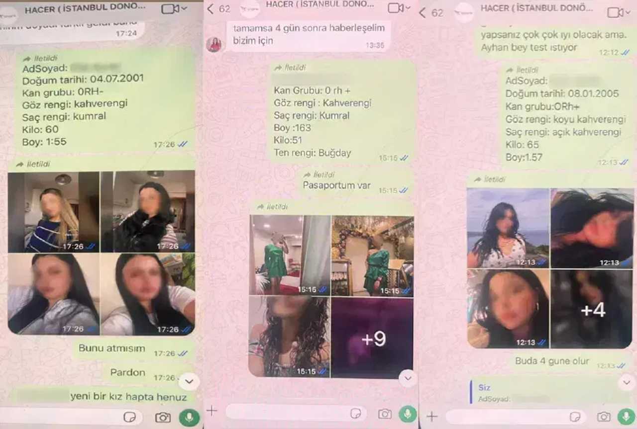 Mavi Göz, Sarı Saç Siparişli Yumurta Çetesi Çökertildi 1 Mavi Goz Sari Sac Siparisli Yumurta Cetesi Cokertildi 2